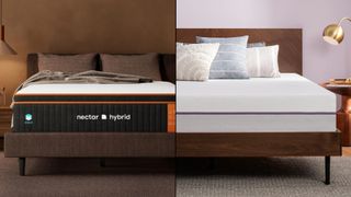 Nectar Premier Copper vs Purple Mattress. The Nectar is in a brown brown with a wooden bed frame. The purple is in a lighter room with a light purple wall, wooden bed frame and cushions on the bed.