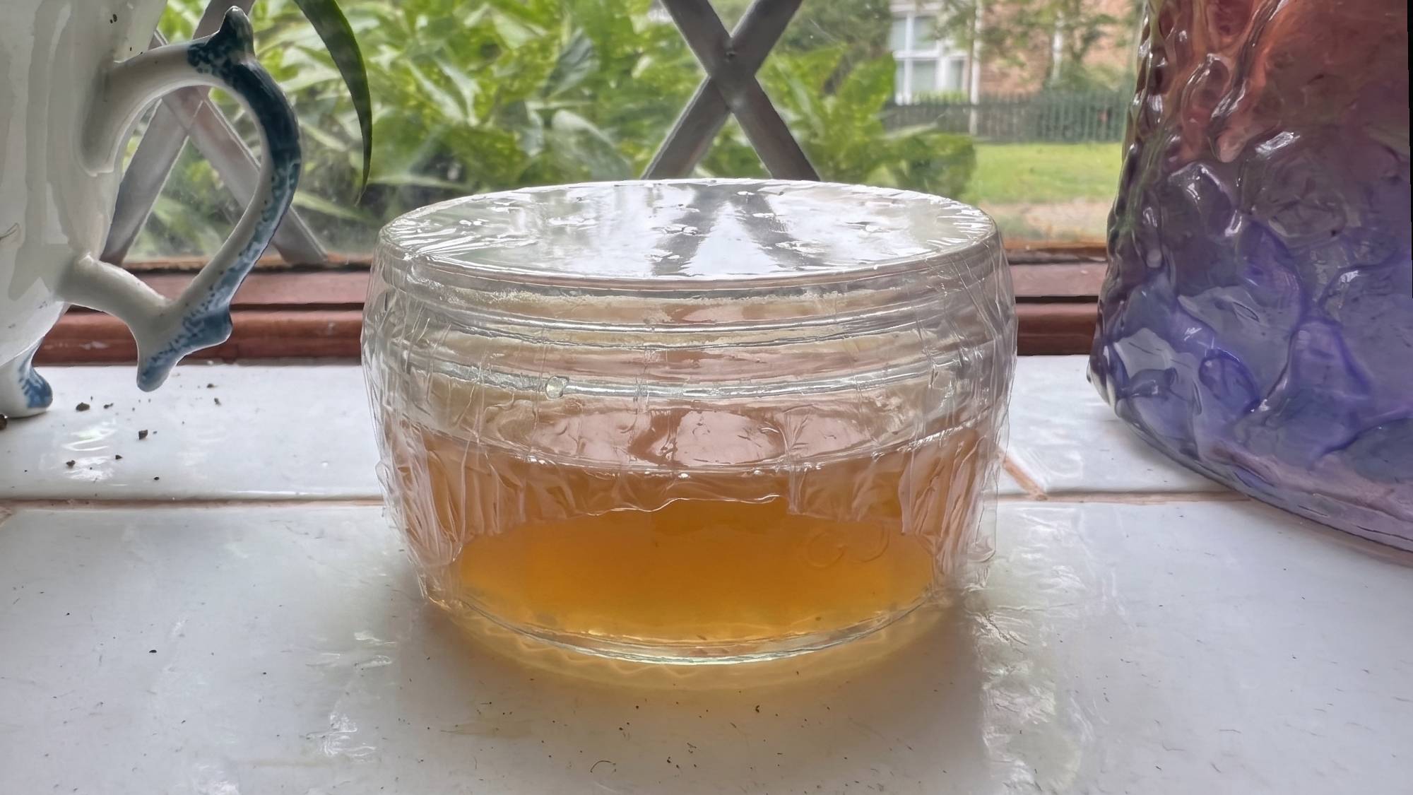 Apple cider vinegar fruit fly trap