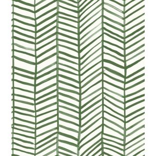 green graphic wallpaper design 
