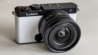 Panasonic Lumix S 18-40mm F4.5-6.3