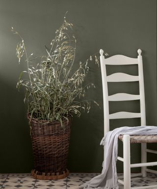 A dark olive green wall with a white chair and potted plant in front