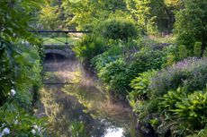 Hostas and geraniums planted to the water’s edge to create reflections in the mill stream. The Wide and Narrow Millstream Borders looking towards the bridge and Paulownia Border at Melbourne Hall Gardens, Derbyshire © Andrea Jones/Garden Exposures Photo Library