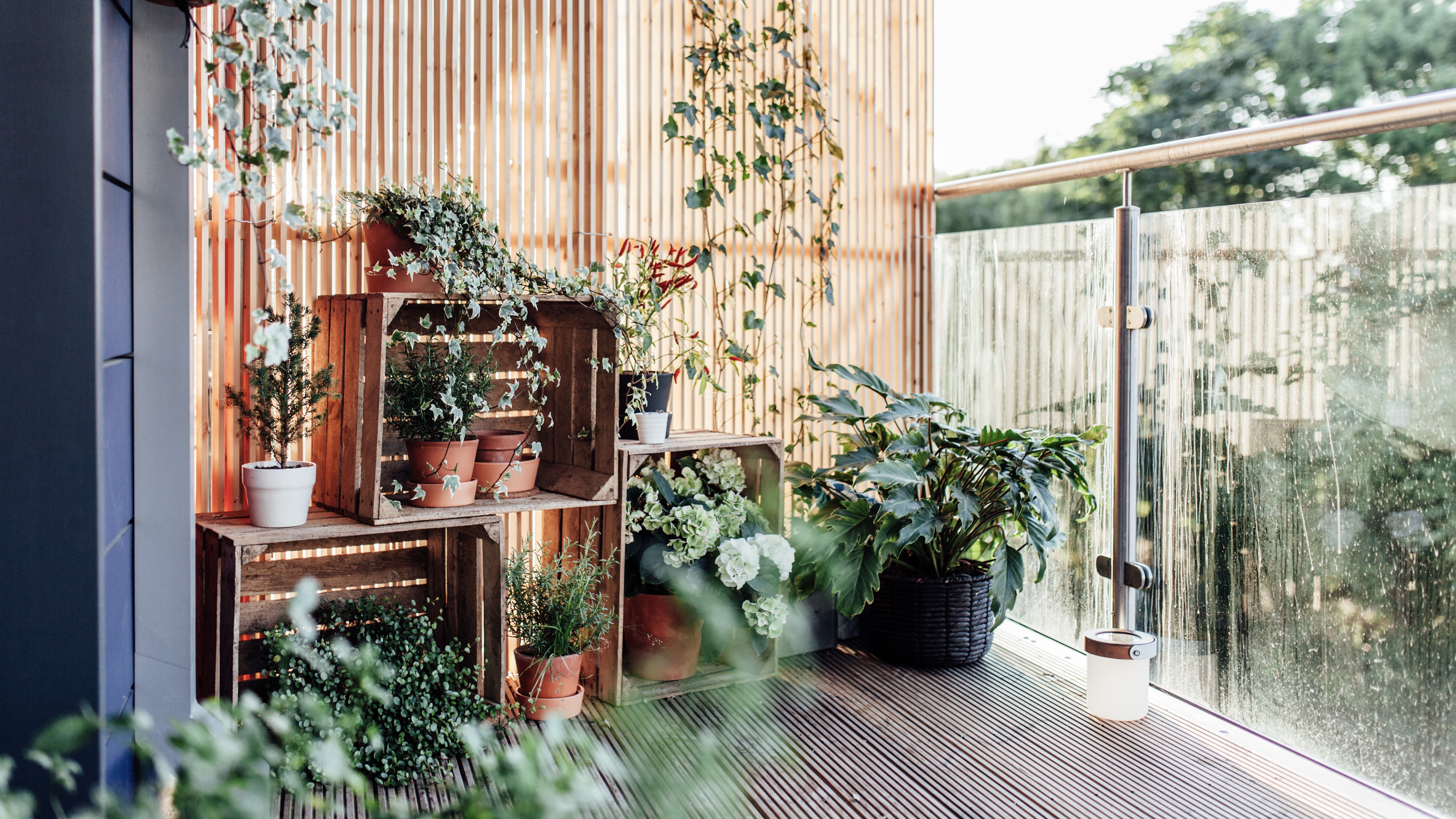 Crates with potted plants on the balcony