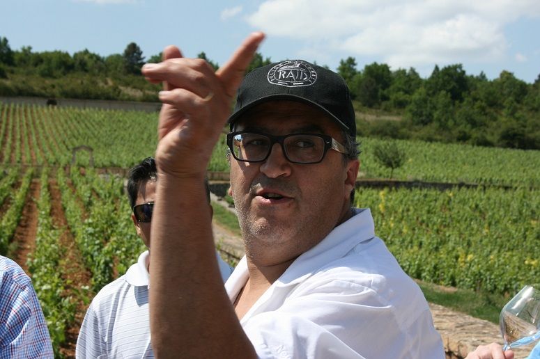 Jefford on Monday: Learning On The Hill | Decanter