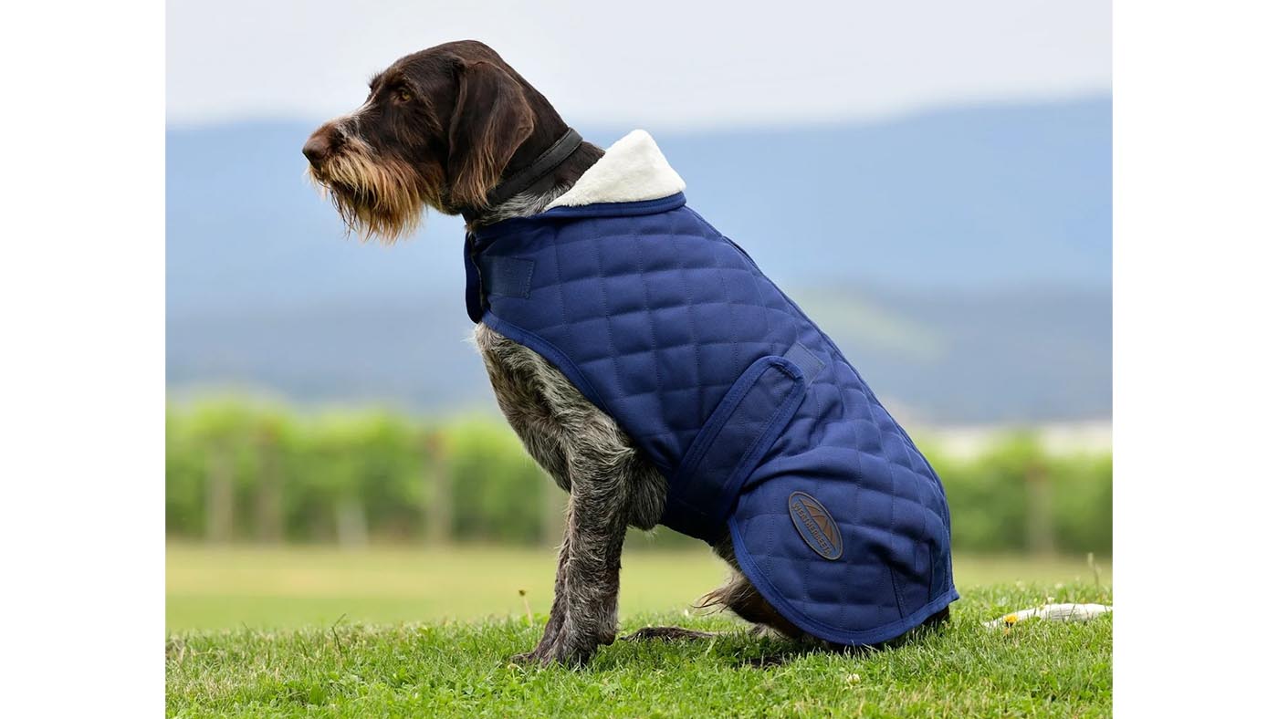 WeatherBeeta ComFiTec Deluxe Diamond Quilt Dog Coat