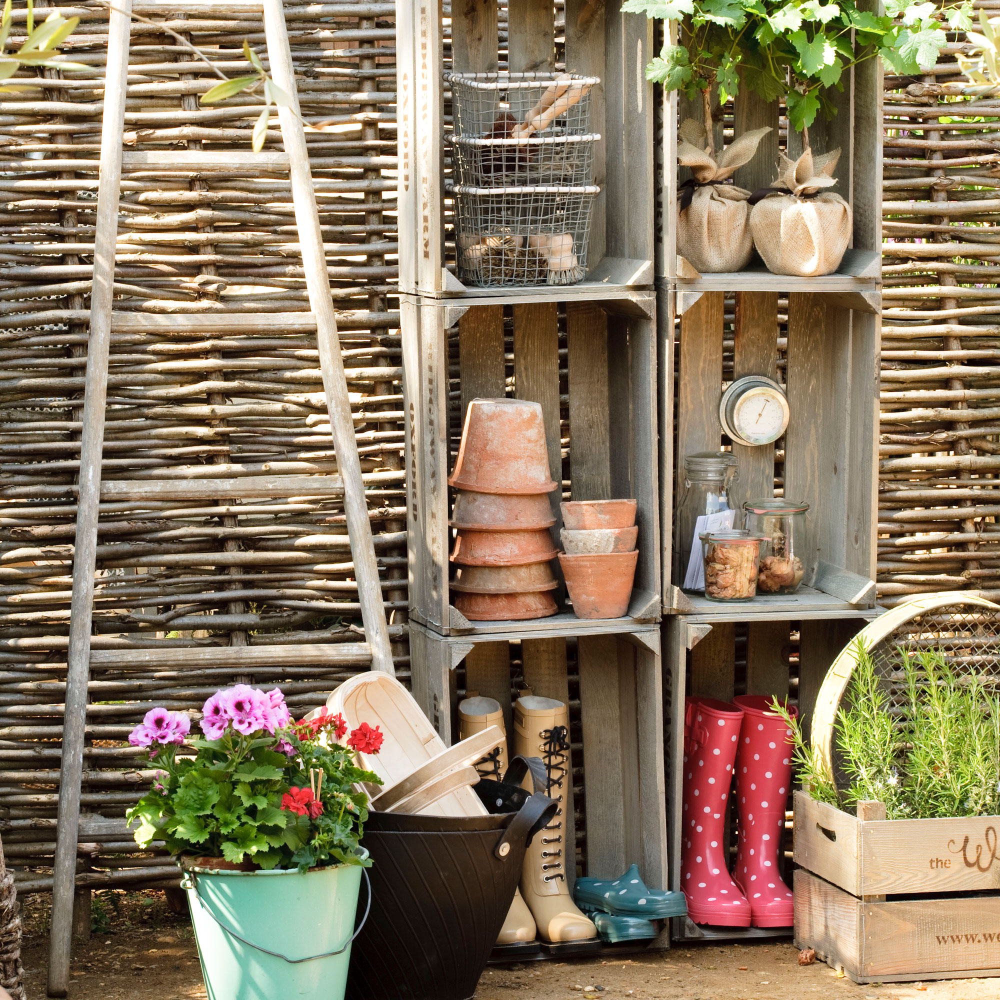 Transform Your Garden with The Best Seed Storage Containers - Simplify,  Live, Love