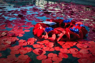 Trafalgar Square, London, UK, 11th November, 2016. Red poppies and wreaths float on the water of the fountains at Trafalgar square on Armistice Day. (Pic: Eden Breitz/Alamy)