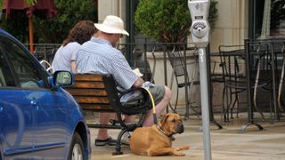 Couple with boxer dog on sidewalk