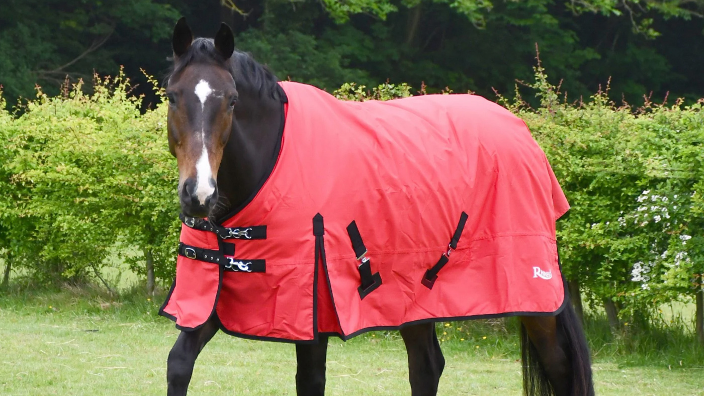 Rhinegold Konig Medium Weight Turnout