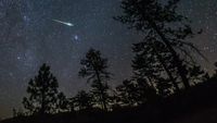 A meteor from the 2016 Perseid meteor shower streaks across the night sky above some pine trees in the Cleveland National Forest, California, USA.