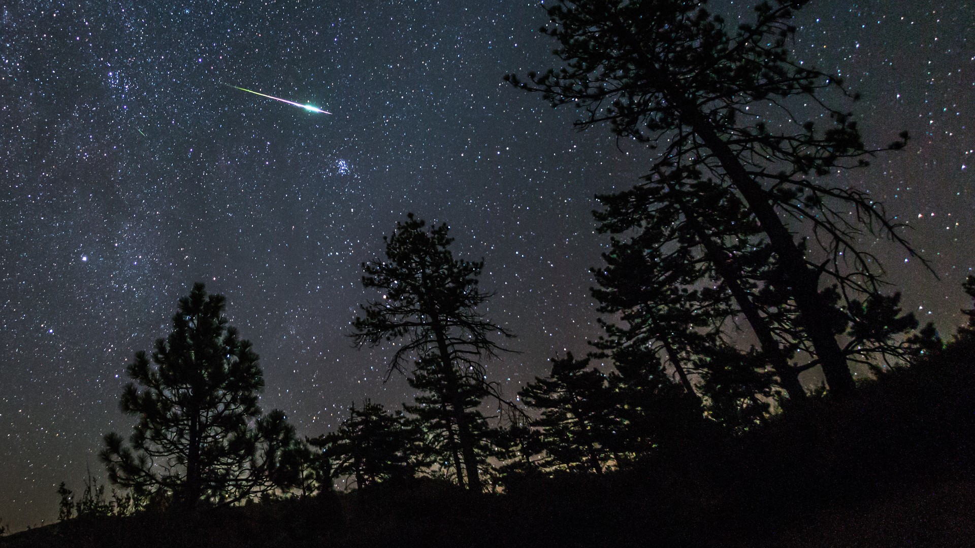 A meteor from the 2016 Perseid meteor shower streaks across the night sky above some pine trees in the Cleveland National Forest, California, USA.