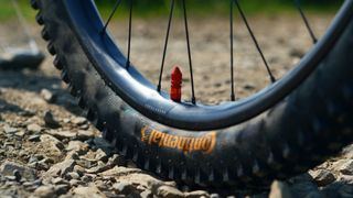 Forge+Bond wheels fitted with Continental tires and an orange e*thirteen tubeless valve