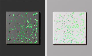 Side by side images of glow-in-the-dark tiles. Left: a dark tile with four-by-four circular indents and green reflective aspects. Right: The same design but in white.