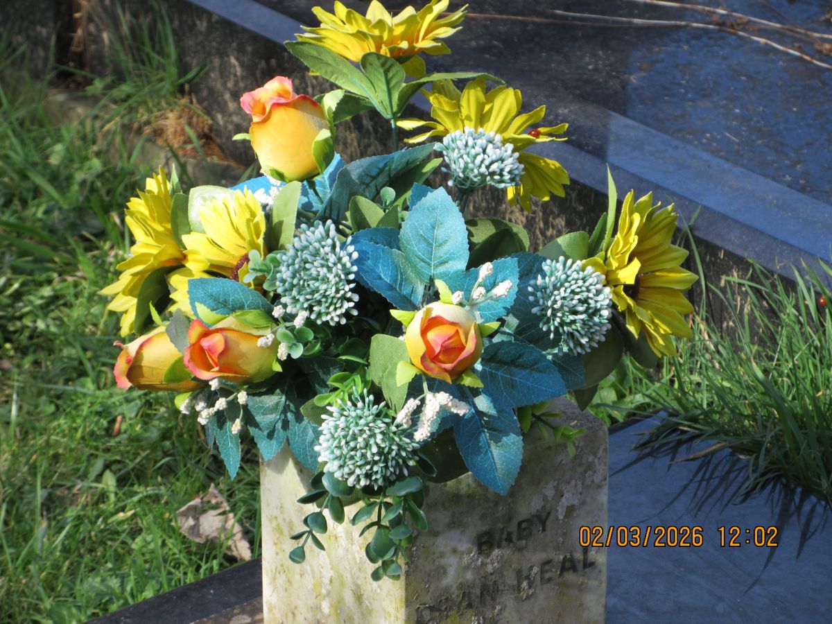 A photo taken on a Canon PowerShot Elph 360 HS A / IXUS 285 HS A compact camera