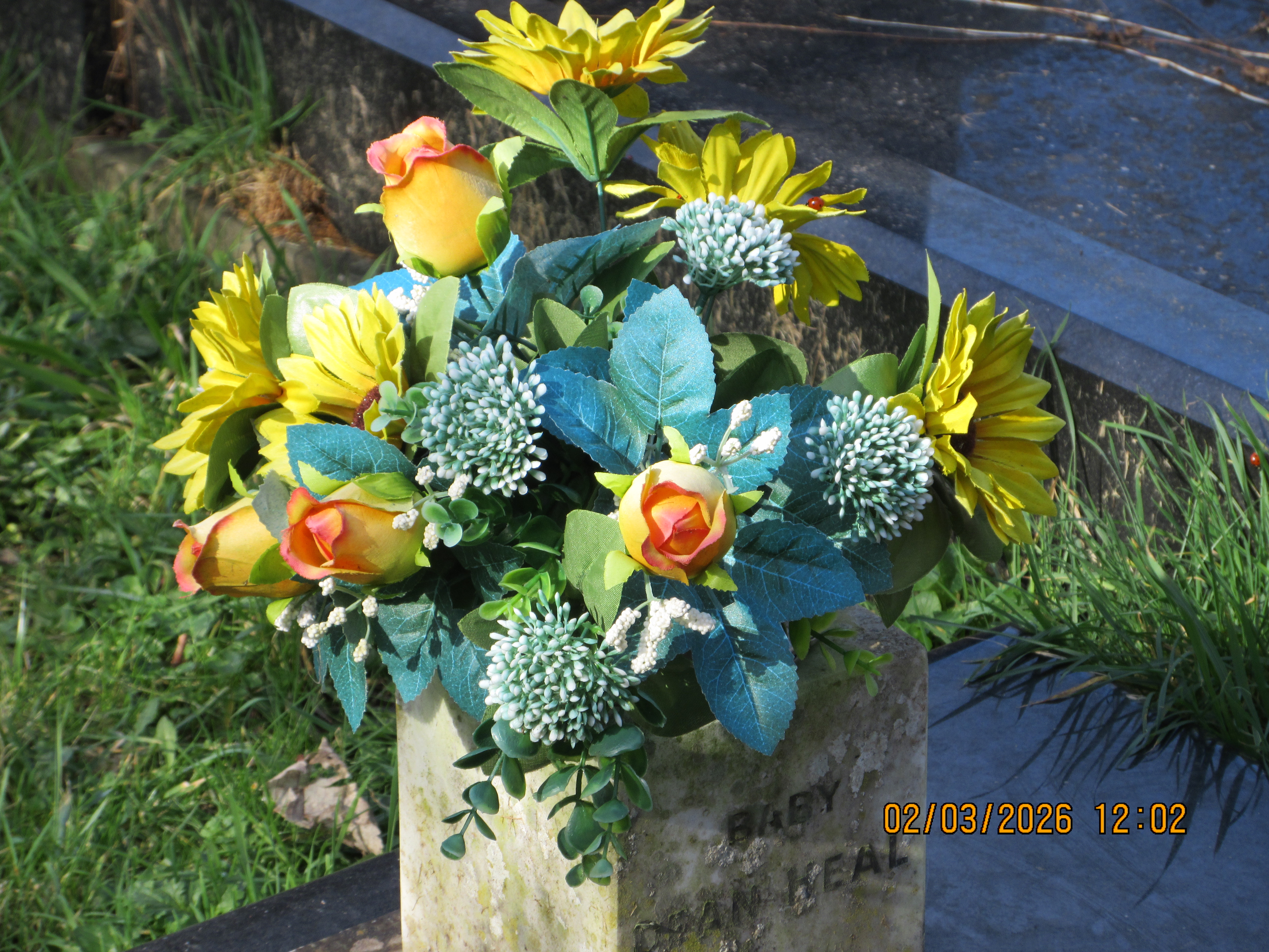 A photo taken on a Canon PowerShot Elph 360 HS A / IXUS 285 HS A compact camera