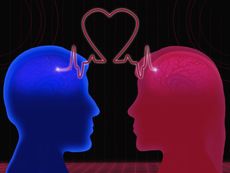 brains in love