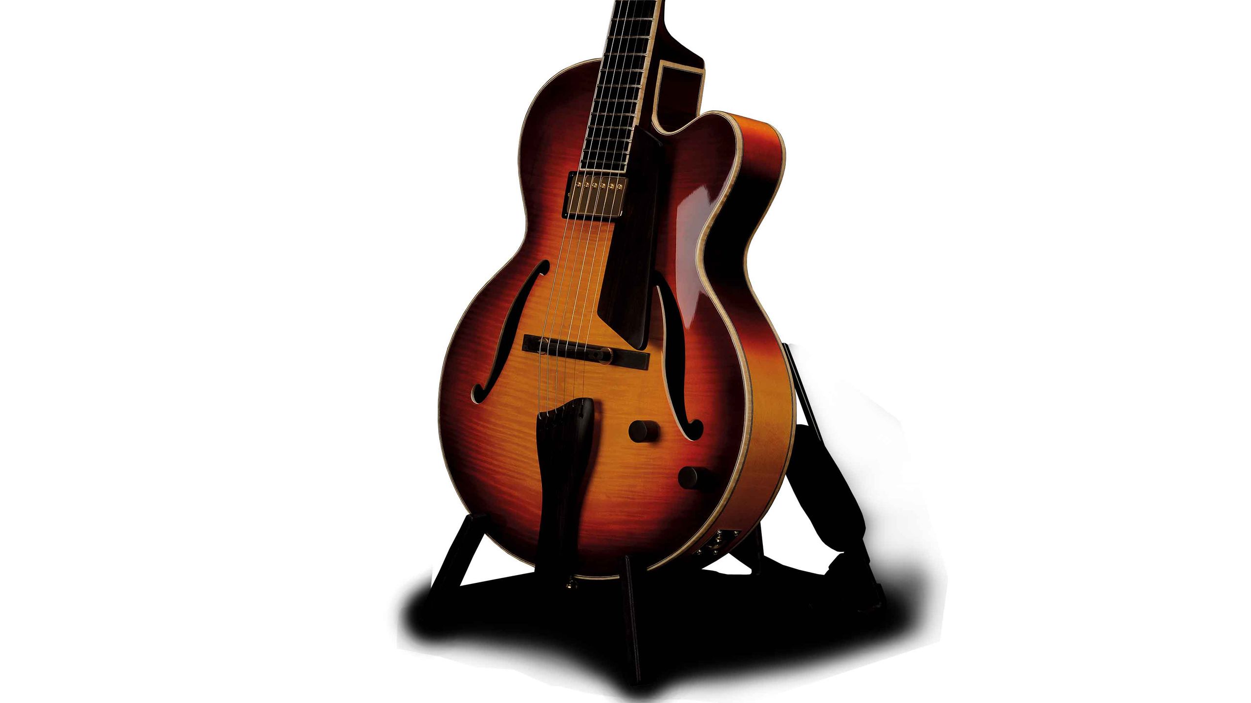 ギター FIBONACCI GUITARS ProtoModel ES-335type ギター FIBONACCI