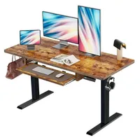 Chitooma 48in electric standing desk with keyboard tray