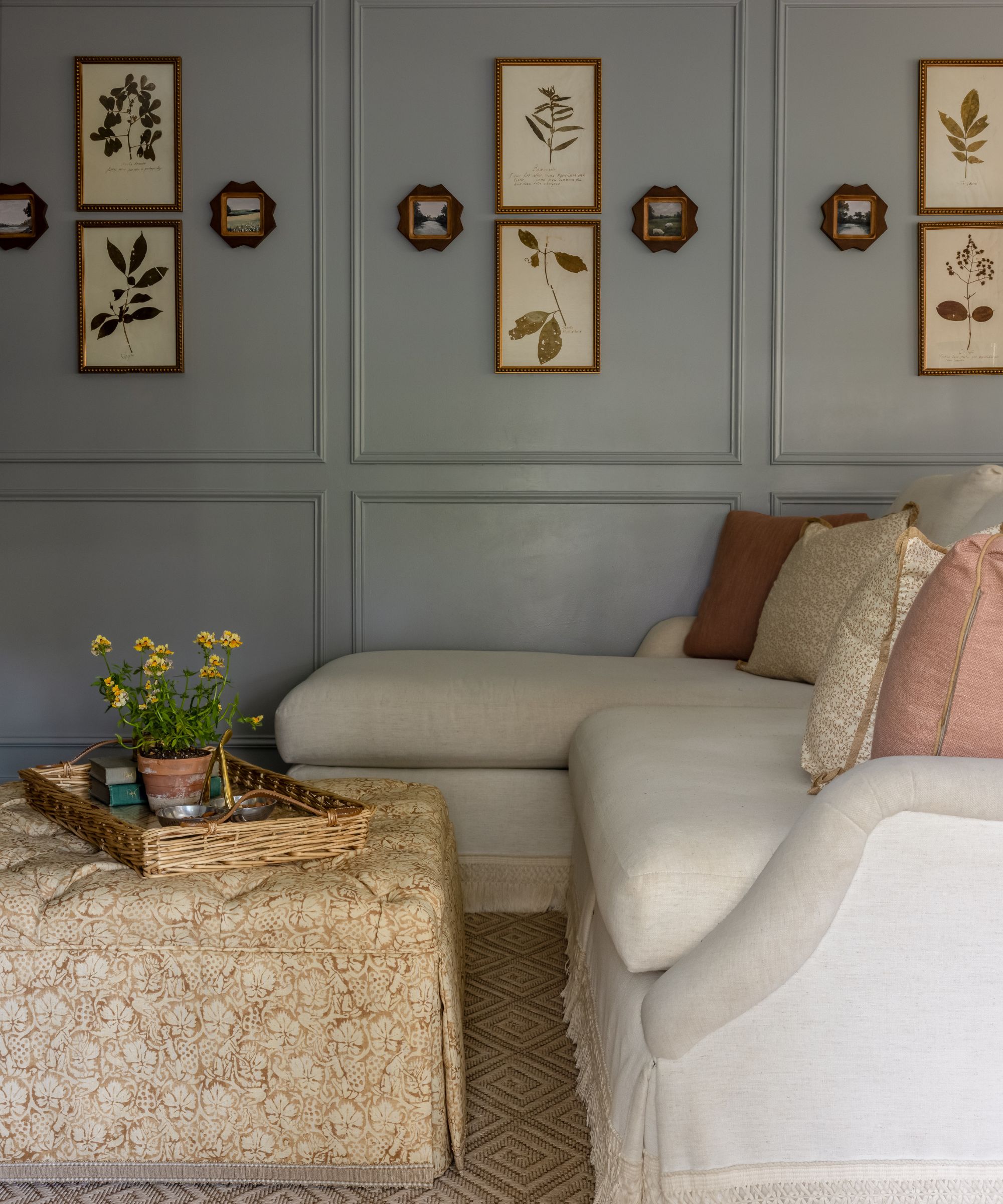 Den room with Boothbay Gray by Benjamin Moore painted walls, a cream sectional sofa with skirting, a floral slipcovered ottoman with a tray on top, and botanical prints hung on the walls.