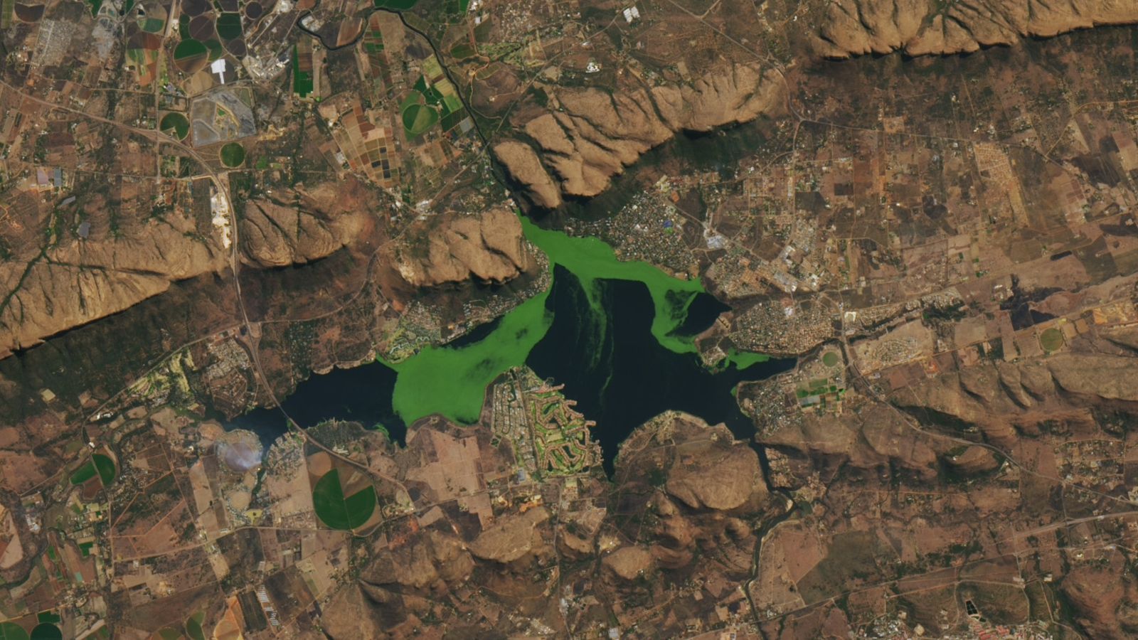 Satellite photo of a large reservoir with bright green masses spreading across its surface