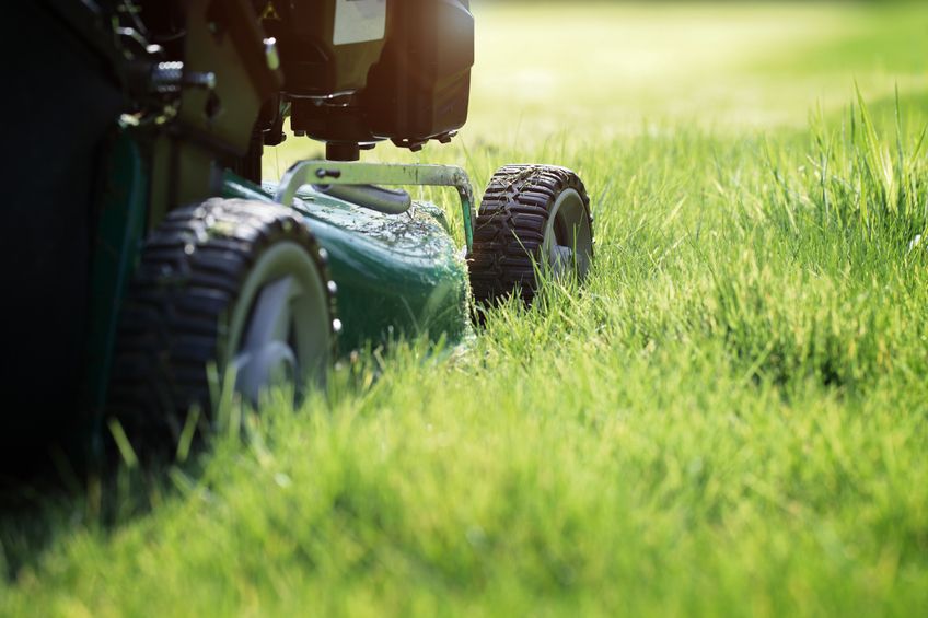 A single mother was arrested for failing to mow her lawn. 