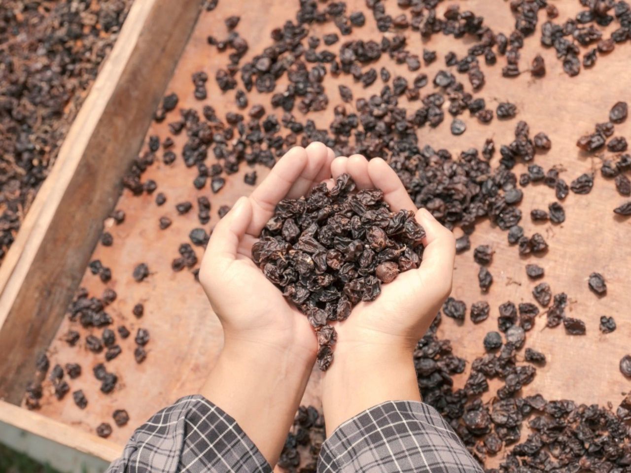 Hands scooping up raisins from. a wooden surface