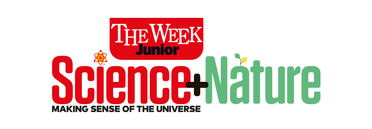 Science and Nature logo