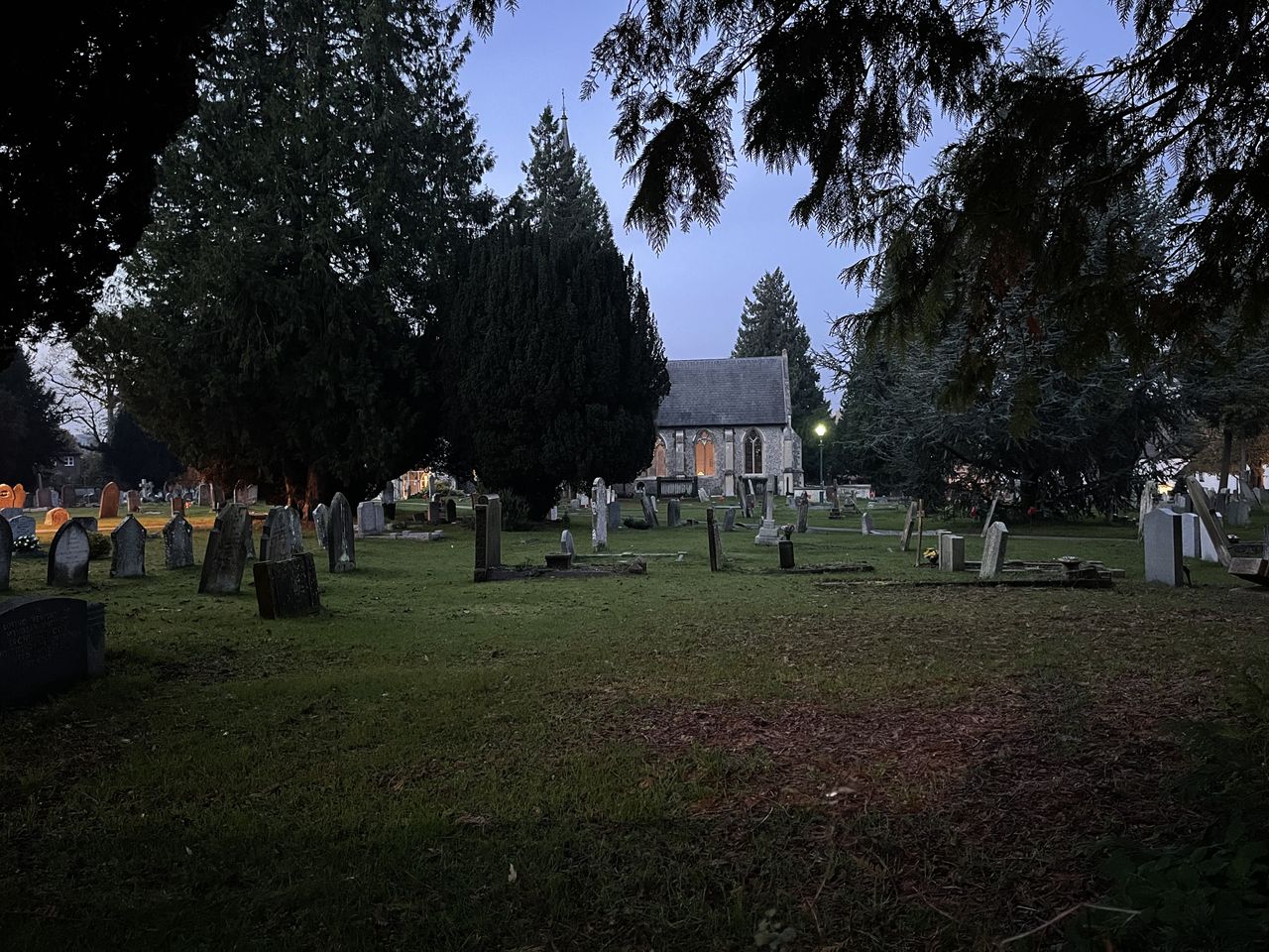 iPhone 12 Pro Max camera sample