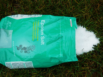 Bag Of Epsom Salt Spilling Onto Grass