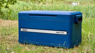Coleman Snap 'N Go collapsible cooler box review: Big cooling capacity without the storage headache