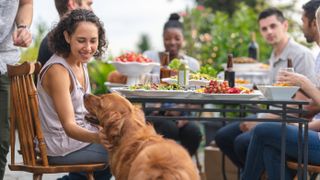 Friends sitting around a table outside eating with dog