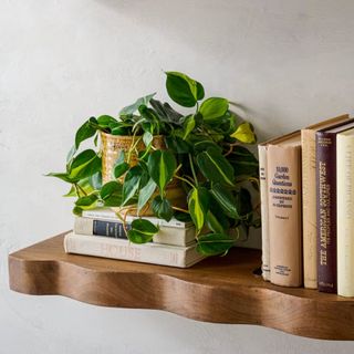 Elise Curved Shelf