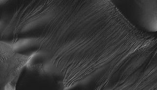Linear Gullies on Martian Dunes