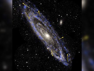 A view of the Andromeda galaxy, also known as M31, with measurements of the motions of stars within the galaxy. This spiral galaxy is the nearest large neighbor of our Milky Way.
