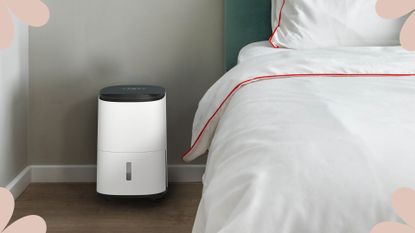 a dehumidifier in a bedroom next to the bed to show how does a dehumidifier works to improve the air 