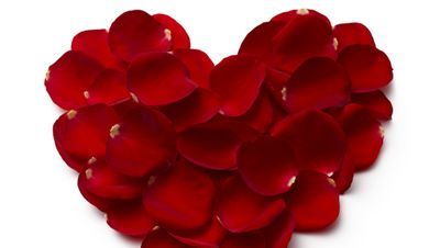 heart made of rose petals