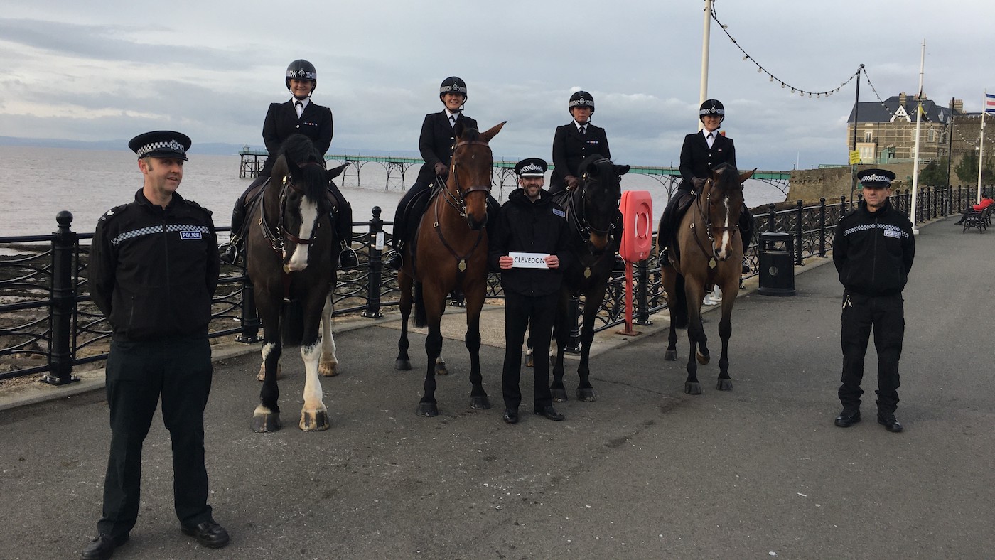 Avon &amp;amp; Somerset Police police horse