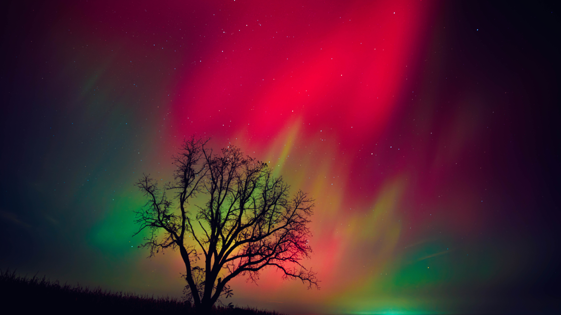 he night sky in Wisconsin glows with the Northern Lights as a geomagnetic storm brings vibrant pink and green colors to a majority of the northern states.