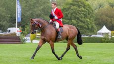 Will Morton and Sarah-Ann Gunn&rsquo;s winning lightweight Kilcarna Brilliant are 2023 RIHS hunter supreme champions