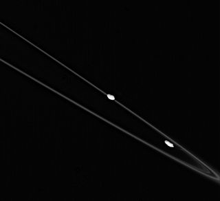 This close-up of Saturn's F ring taken by the Cassini spacecraft shows the moons Prometheus (right) and Pandora (left).