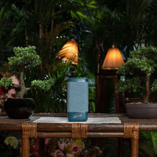 outdoor with greybluetooth speakers and plant pot