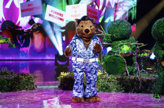 The Wombat costume in the new Masked Singer series