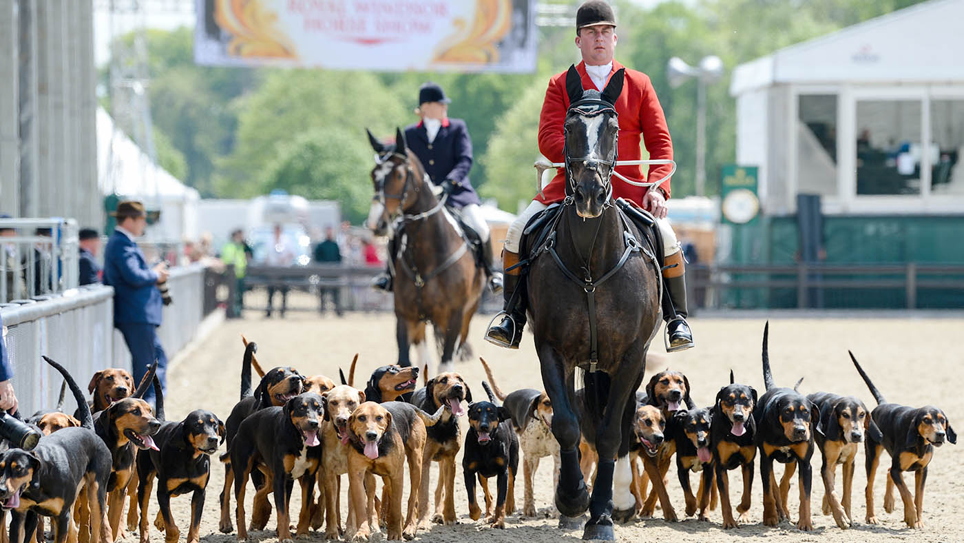 Meet-the-Hounds_RWHS_PN19_15771_288798511_519696112.jpg