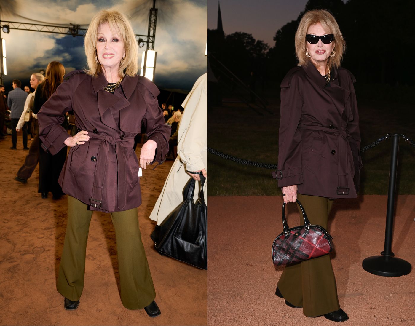 Image of Joanna Lumley