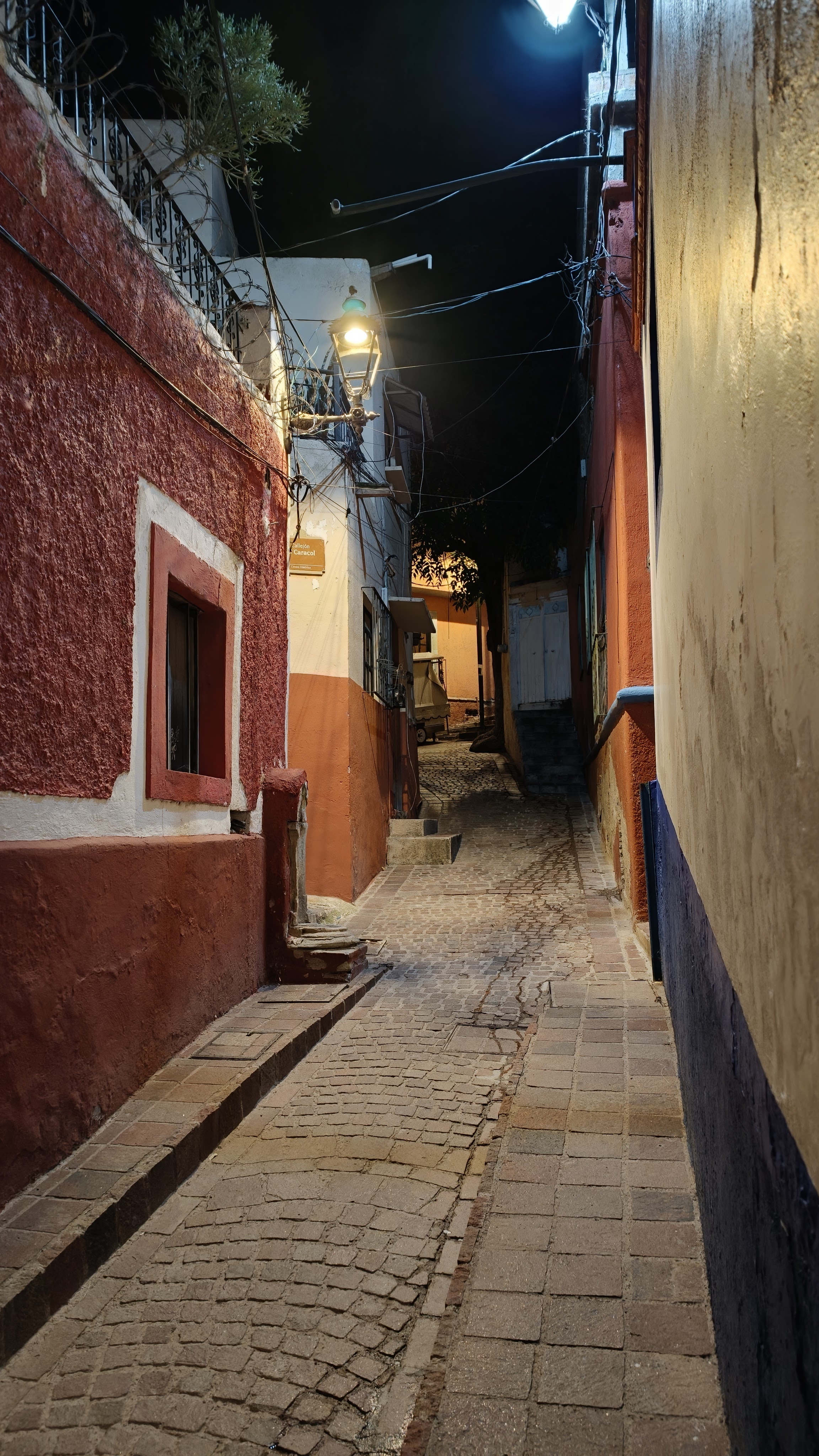 Oppo Find X9 Pro camera review image sample