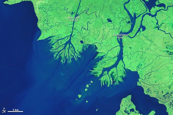 Landsate satellite imagery acquired on Oct. 25, 2014, shows the difference 30 years of sediment accumulation can make. Both the Wax Lake Outlet and Atchafalaya River deltas continue to grow.