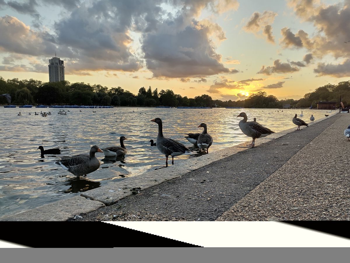 A Fairphone 5 camera sample
