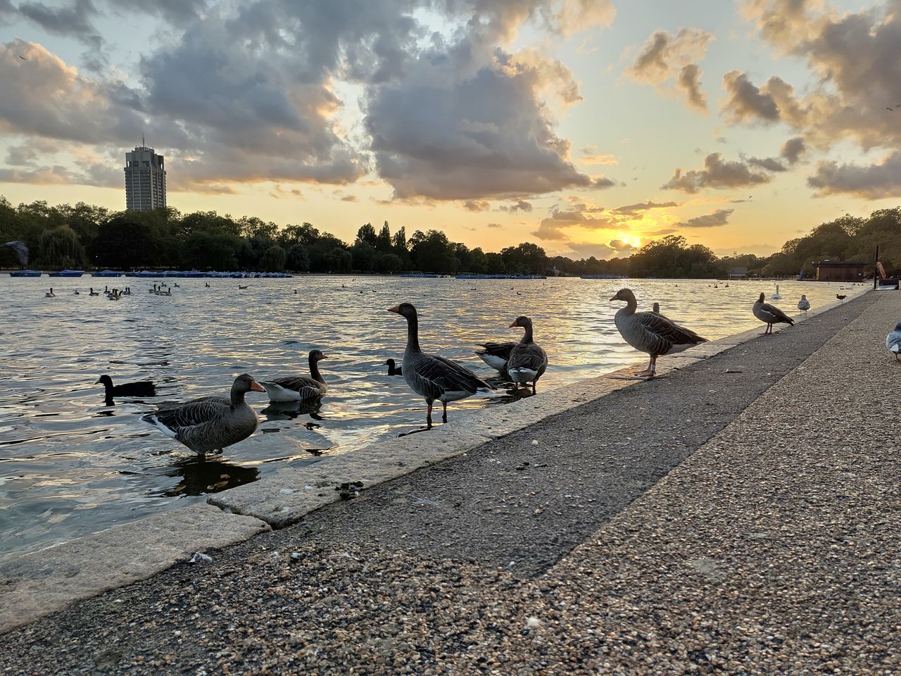 A Fairphone 5 camera sample