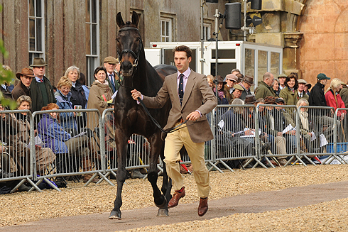 Harry Meade Badminton Horse Trials trotup