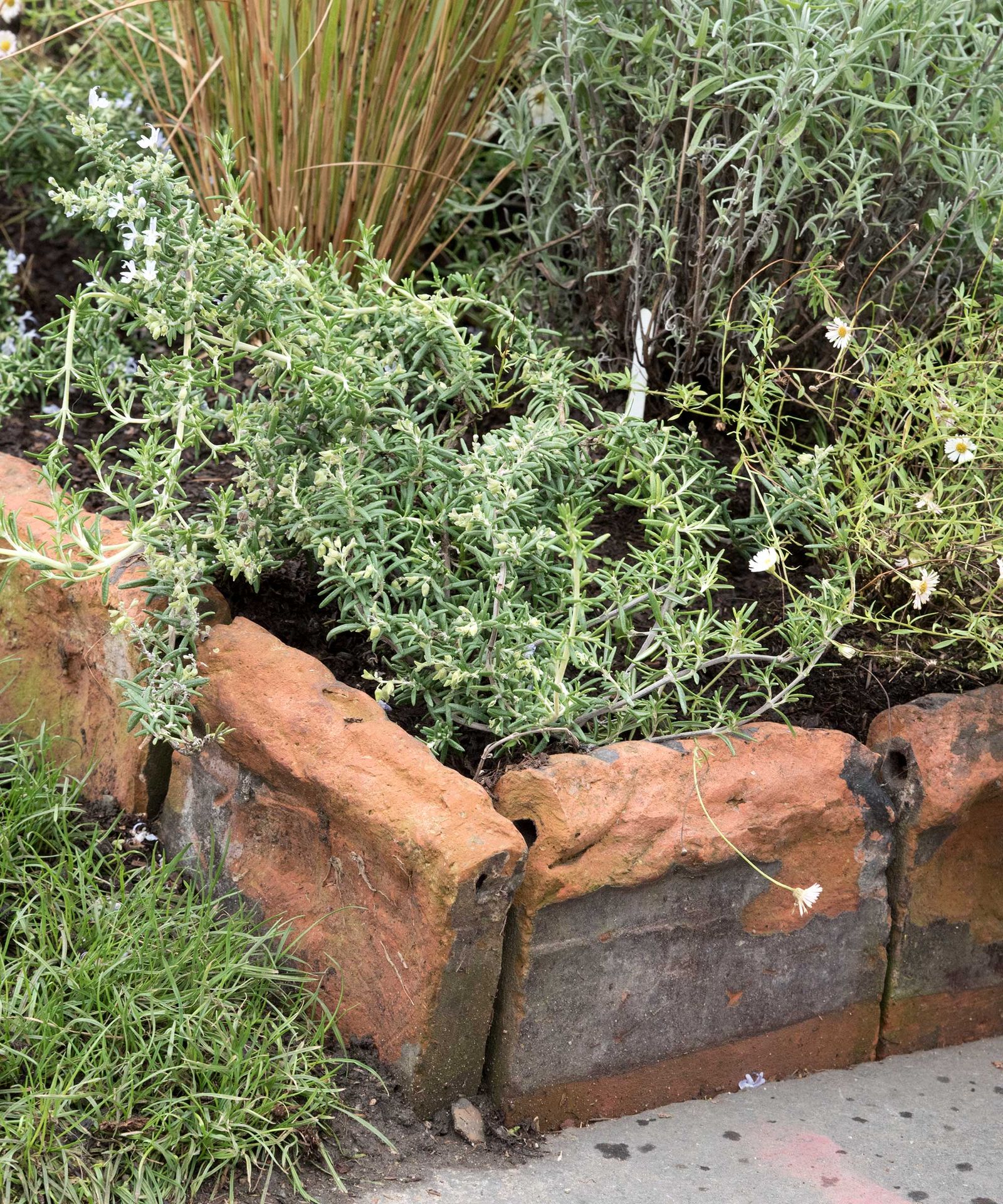 Cheap garden edging ideas: 10 budget-friendly looks | Gardeningetc